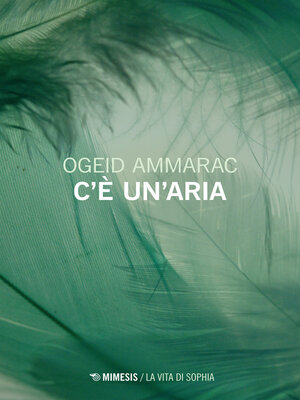 cover image of C'è un'aria